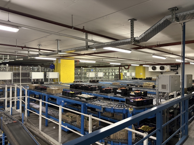 Projektwoche