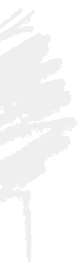 birke.gif