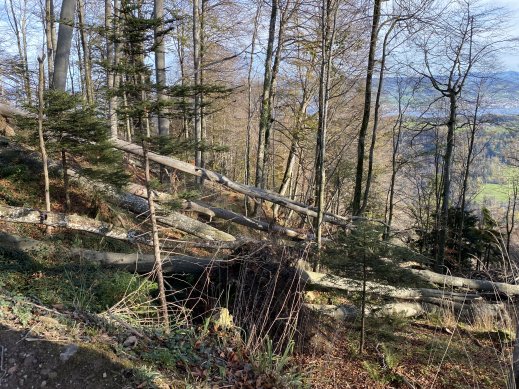 Herbstwanderung